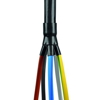 PT heat shrinkable breakouts PT2_1.5-25-C/1 